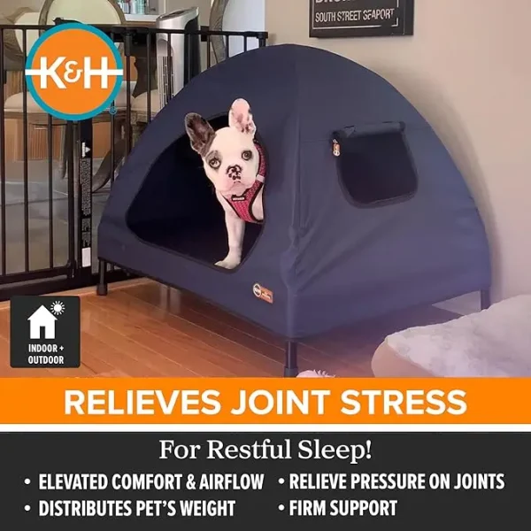 Small Pet Cot House - 22x17x22 Inches, Navy Blue, Elevated Design