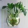 Mount Fish Tank Wall-Hanging Fish Bowl Decoration Planter Pet Supplies Acrylic Aquarium