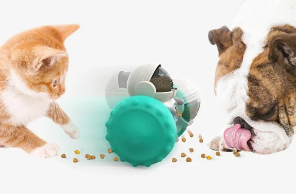 Dog Enrichment Puzzle Toy with Treat Maze - Cognitive Development & Problem-Solving Game - Fun Mealtime Feeder for Small & Mediu