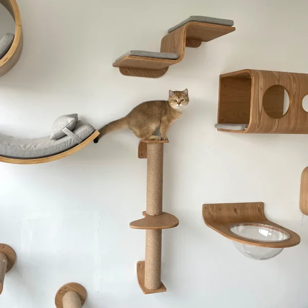 Cat Wall Mounted Furniture Cat Climbing Shelves Scratching Post Ladder Cat Perch Wooden Cat Tree House for Kitten Sleep Play