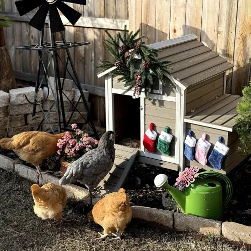 Chicken Coop Chicken House Outdoor with Removable Trays, Wooden Rabbit Hutch Poultry Cage with Nesting Box, Indoor Hen House Chi