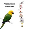10pcs Natural Cuddle Bone Calcium Supplement Pet Bird Food Edible Chewing Cuttlefish Bone Nutritional Supplements Gifts for Pets