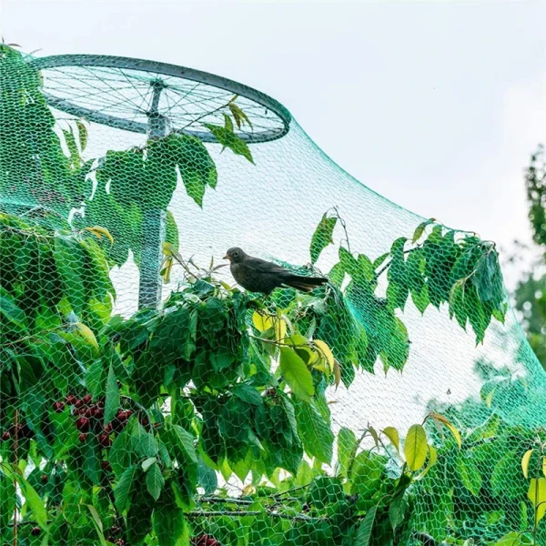 20/10M Anti Bird Protection Net Mesh Garden Plant Netting Protect Plants and Fruit Trees from Birds Deer Poultry Best Fencing