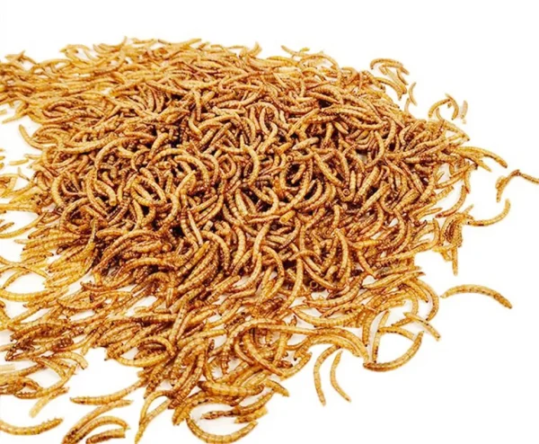 270ml Mealworm Dried Aquarium Tank Pond Fish Reptile Wild Bird Food Hamster Birdseed Lizard Turtle Arowana Tenebrio Chicken Feed