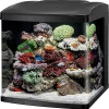 Aquarium Fish Tank Kit, 32 Gallon
