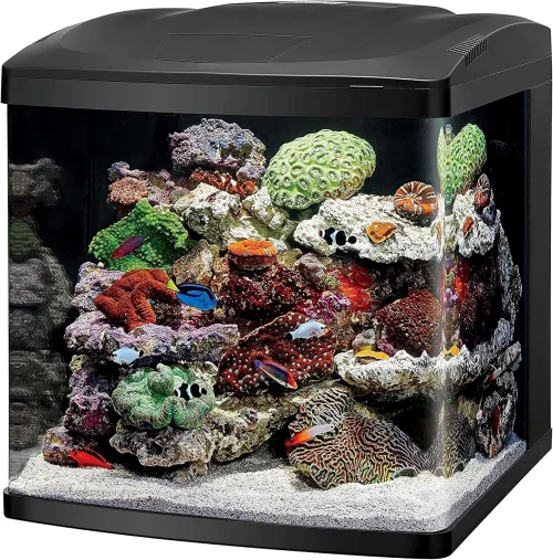 Aquarium Fish Tank Kit, 32 Gallon