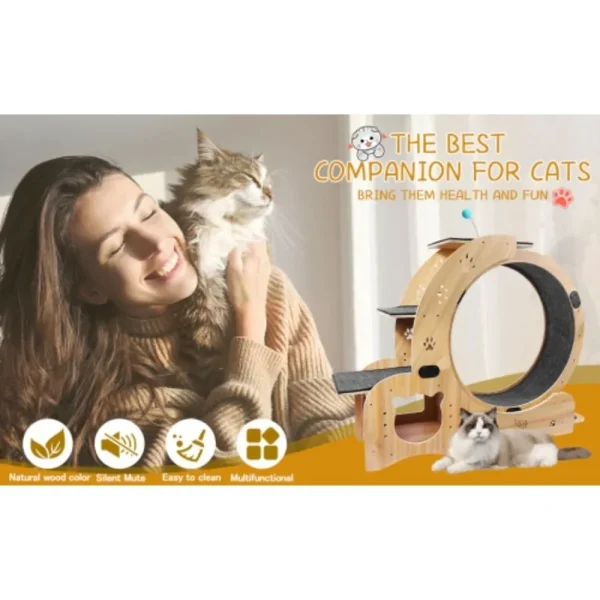 Cat Wheel 6-in-1 Exercise ,Upgraded Exerciser for Indoor,Large Treadmill, Running with Silent Wheel