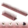 43CM Plastic Anti-Bird Spikes Bird Repeller Anti-theft Bird Proof Prevent Pigeon Cat Thorn Boxed Package Pest Control Tools