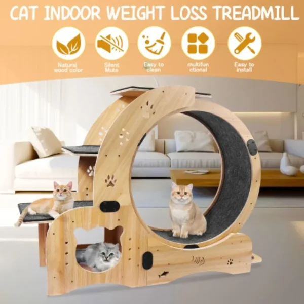 Cat Wheel 6-in-1 Exercise ,Upgraded Exerciser for Indoor,Large Treadmill, Running with Silent Wheel