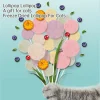 Lonno Chicken Freeze-dried Lollipop Cat Snack Nutritious Chicken Fruit Flavor Pet Teeth Stick Safe and Delicious 10 Pcs