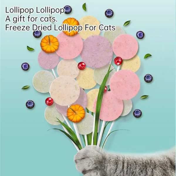 Lonno Chicken Freeze-dried Lollipop Cat Snack Nutritious Chicken Fruit Flavor Pet Teeth Stick Safe and Delicious 10 Pcs