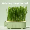 Organic Cat Grass Planter Kit With Wheat Seeds Hairball Relief Natural Digestive Aid Grow Your Own Cat Grass Bowl Set With Soil