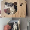 Cat Wall Climbing House Shelf Bed Wall Mounted Tree Tower Hiding House Villa Castle for Indoor Cats Accessories Sleeping