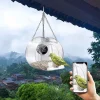 Smart Birds Hanging Feeder Acrylic with Camera Home Pet Bird Feeder Transparent 1080P HD Easy Installation Pet Accessories