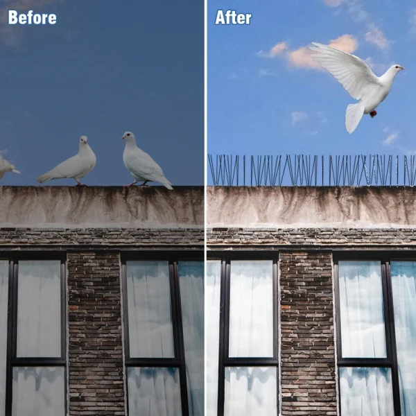 1-10Pcs Pigeon Spikes Stainless Steel Bird Spike Bird Deterrent Wire Spikes Keep Birds Away Proof Nails for Fence Roof Blacony