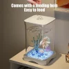Transparent Fish Tank Living Room Office Decoration HD Acrylic Aquarium Easy To Feed Ecological Tank for Goldfish Tropical Fish