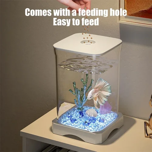 Transparent Fish Tank Living Room Office Decoration HD Acrylic Aquarium Easy To Feed Ecological Tank for Goldfish Tropical Fish