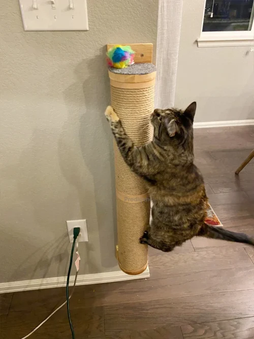 Cat Scratching Post Wall Furniture Wood Wall Mounted Kitten Scratcher Tree Tower Toys Thicker Column for Indoor Cats Accessories
