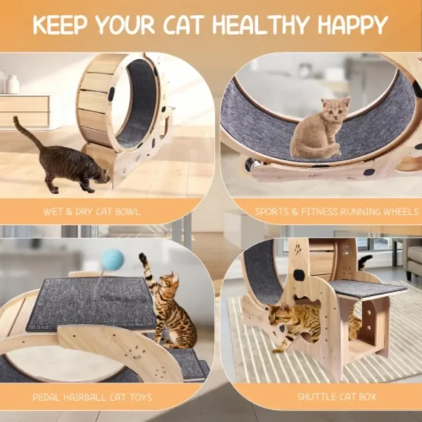 Cat Wheel 6-in-1 Exercise ,Upgraded Exerciser for Indoor,Large Treadmill, Running with Silent Wheel