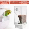 Automatic Parrot Food Feeder No Messes Bird Feeders Acrylic Seed Food Container Cage Accessories For Small And Medium Parakeets