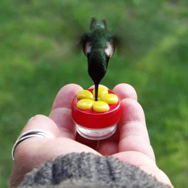 1Set Hummingbird Feeder Hand Held Accessories Durable Bird Feeder Plastic Hanging Dispenser Hummingbird Food Feeder for Garden