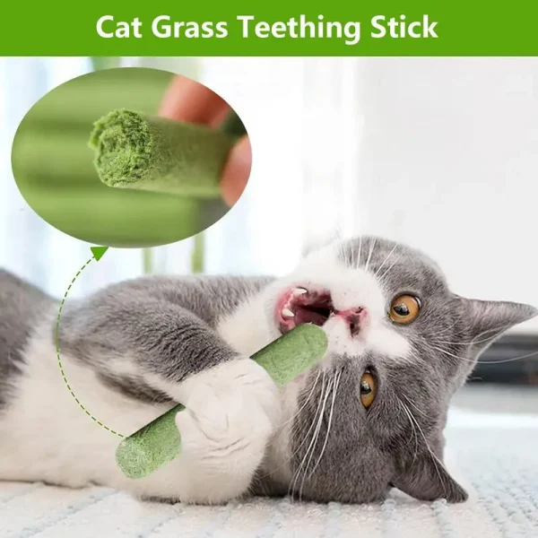 Cat Grass Sticks Grass Chewing Stick Freeze Dried Snacks Hairball Removal Mouth Health Teething Stick Natural Teeth Cleaner