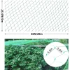20/10M Anti Bird Protection Net Mesh Garden Plant Netting Protect Plants and Fruit Trees from Birds Deer Poultry Best Fencing