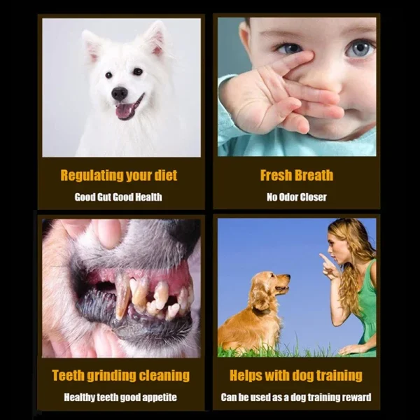 Dog Snacks 110g Bruxism Cookies Milk Stick Chicken Breast Beef Strips Training Incentives Nutritious Healthy Pet Snack Foods