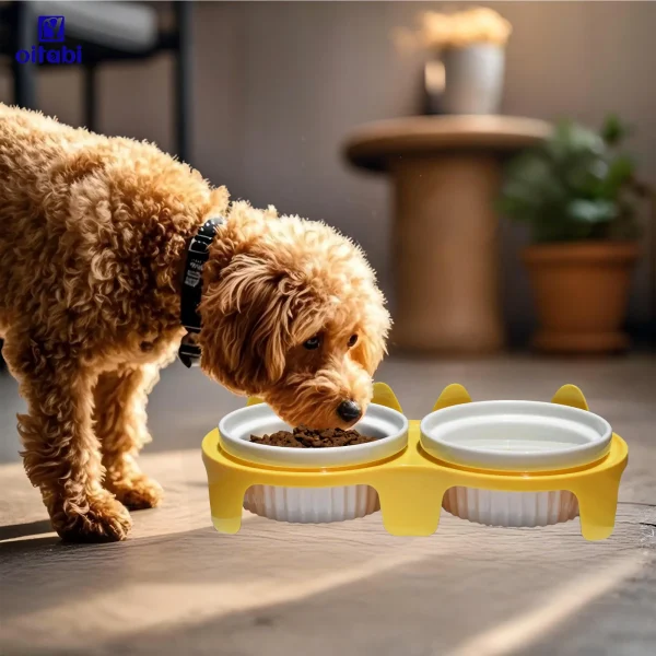 Oitabi Elevated Cat Bowls Whisker Friendly, Cat Food Bowls,15°Tilted Stand Anti Vomiting Raised Cat Dishes for Food and Water