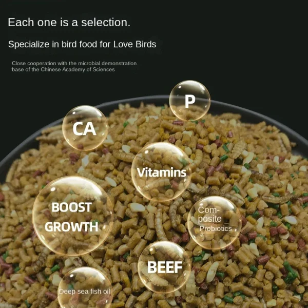 starling feed, bird feed, bird feed, bird feed, nutritious bird feed, bird feed, starling bird feed, 1kg
