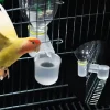 Plastic Pet Bird Drinker Feeder Water Bottle Cup Cat Chicken Pigeon Parrot Hamster Double Nozzle Water Guide For Family Garden