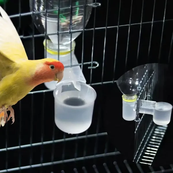 Plastic Pet Bird Drinker Feeder Water Bottle Cup Cat Chicken Pigeon Parrot Hamster Double Nozzle Water Guide For Family Garden