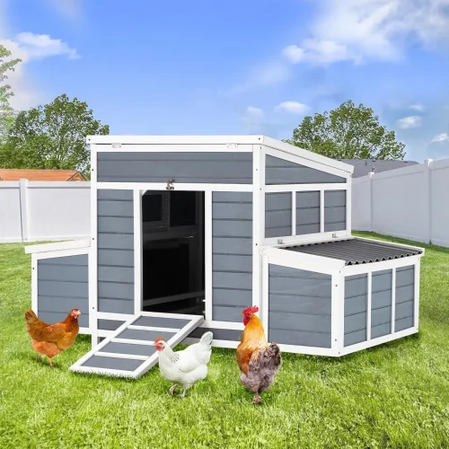 Chicken Coop, 56" Large Wooden Chicken Hutch with 6 Nesting Boxes, Outdoor Hen House Chicken Cage