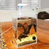Transparent Goldfish Tank Home Landscape Aquarium Office Desktop Fish Tank Fish Breeding Supplies Turtle Tank with Led Light