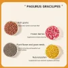Bird Food Berry Seeds Parrot Food Peony Tiger Skin Xuanfeng Feed Shelled Five-color Millet General Bird Food Mixed Grain