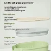 Organic Cat Grass Planter Kit With Wheat Seeds Hairball Relief Natural Digestive Aid Grow Your Own Cat Grass Bowl Set With Soil