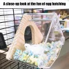 Parakeet Nest Box Lovebirds Nesting Station House Easy To Clean Transparent Bird Nesting Box For Budgie Conure Finch Tits