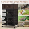 50''H Metal Large Ferret Cage, Rolling Chinchilla Cage with Removable Ramps& Double Door, Critter Nation with Locker