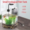 Betta Fish Tank Desktop Mini Aquariu Set with Light and Filter Portable Aquarium Fish Keeper Fishbowl for Office Room Landscape