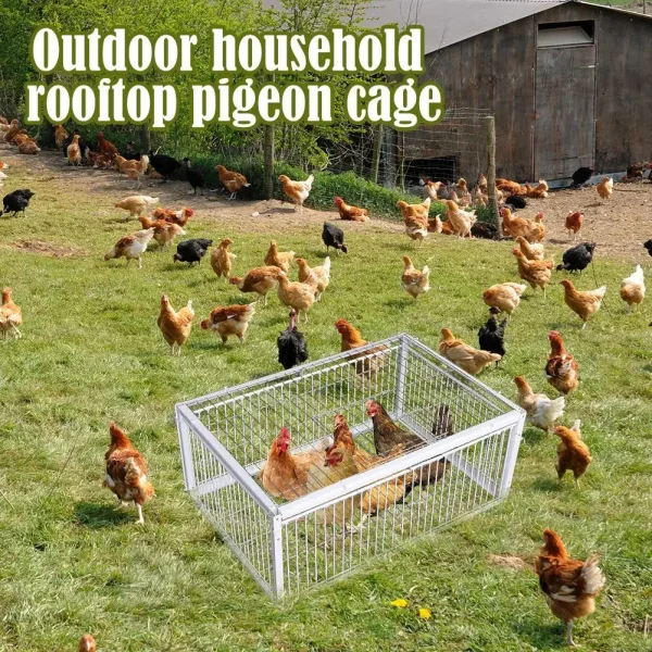 Auto Trap Bird Cage Rabbit Cage Mouse Cage Entry Only No Exit Thickened Encrypted Automatic Pigeon Collecting Portable Bird Cage