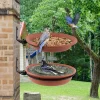 Hanging Bird Feeder Bowl Tree Mounted Bird Feeder Water Container Weatherproof Pet Supplies for Balcony Railing Garden