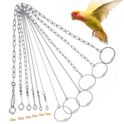 Parrot Leg Ring Ankle Foot Chain Bird Ring Outdoor Flying Training Activity Opening Stand Accessories for Small Bird Supplies