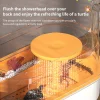 Water and land landscape turtle tank household tabletop ecological tank self circulating Special water tank for turtle breeding