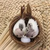 Garden Ornaments Handmade Nature Home House Decoration Vine Birds Egg Artificial Craft Birds Realistic Feathered Bird Nest