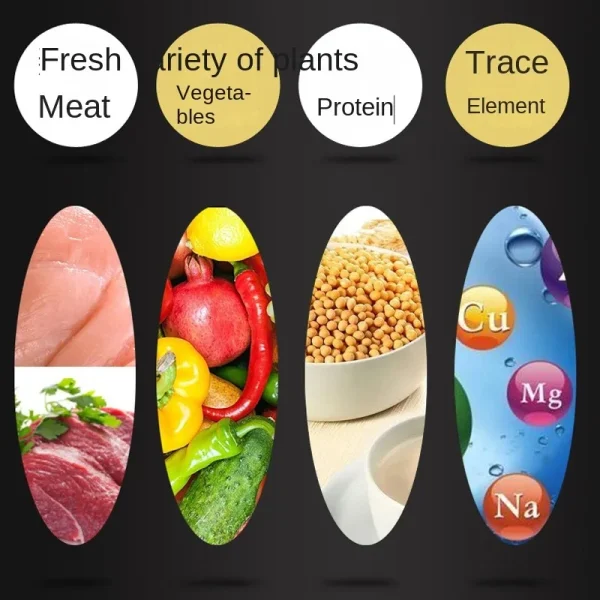 Pet Food Dog and Cat Snacks Delicious Beef Strips Healthy and Delicious Teething Beef Strips Nutritious Pet Food for Cats Dogs