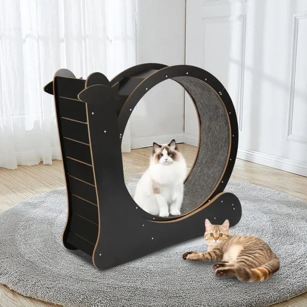 Cat Running Wheel, Exercise Wheel for Indoor Treadmill Low Noise Runing