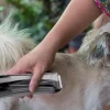 Dog Shaver Clipper 3-speed Cordless Pet Hair Clipper With Suction USB Vacuum Electric Dog Hair Trimmer Low Noise 1500mAh USB