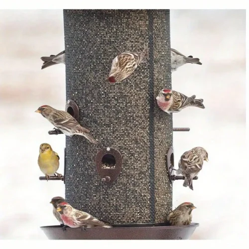 Giant combination screen bird feeder, 10 lb capacity, built-in drain, screw cap design, easy to fill, suitable for bird lovers