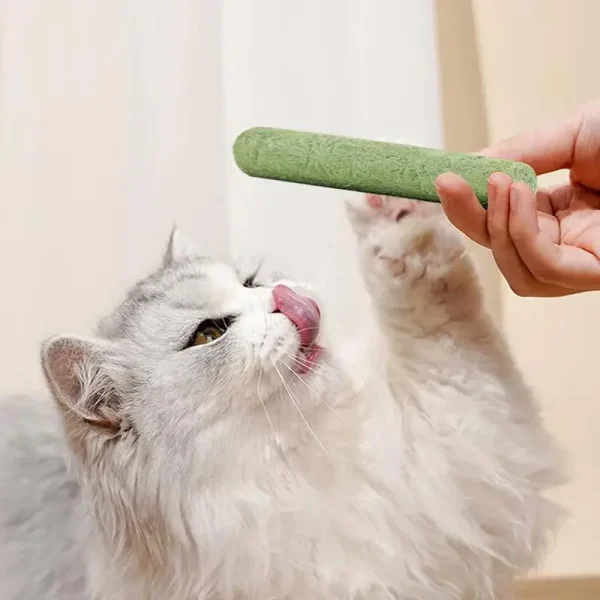 Cat Grass Sticks Grass Chewing Stick Freeze Dried Snacks Hairball Removal Mouth Health Teething Stick Natural Teeth Cleaner