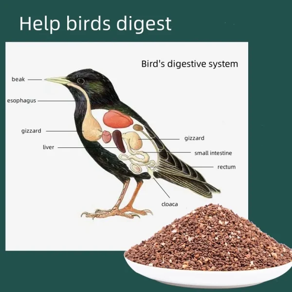 Parrot Food Small Particle Red Soil Mixed Grain Feed Bird Feed Seasonal New Grain Bird Food Parrot High Calcium Health Sand